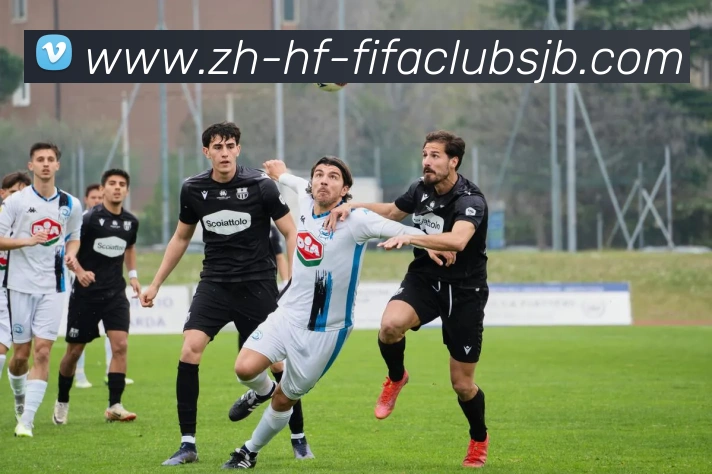 世界杯赛程平台生态图