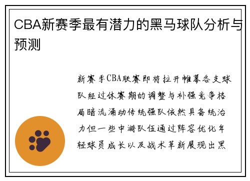 CBA新赛季最有潜力的黑马球队分析与预测